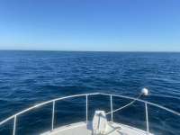 Great day of scuba diving in Key Largo with Rainbow Reef on french reef tropical destiny 2021 09 29 r11666 1