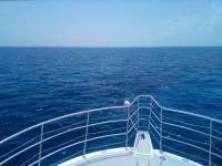 Great day of scuba diving in Key Largo with Rainbow Reef on french reef tropical odyssey 2021 09 04 r11578 1