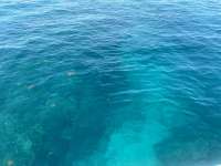 Great day of scuba diving in Key Largo with Rainbow Reef on french reef tropical serenity 2021 09 10 r11602 1