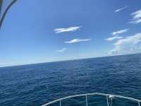 Great day of scuba diving in Key Largo with Rainbow Reef on hole in the wall tropical destiny 2021 09 24 r11652 1
