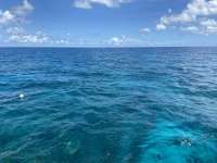 Great day of scuba diving in Key Largo with Rainbow Reef on molasses reef tropical serenity 2021 09 14 r11615 1