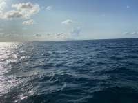 Great day of scuba diving in Key Largo with Rainbow Reef on molasses reef tropical serenity 2021 09 16 r11617 1