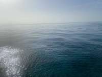 Great day of scuba diving in Key Largo with Rainbow Reef on pickles reef tropical serenity 2021 09 03 r11566 1