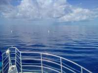 Great day of scuba diving in Key Largo with Rainbow Reef on spiegel grove tropical odyssey 2021 09 05 r11581 2