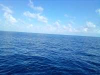 Great day of scuba diving in Key Largo with Rainbow Reef on spiegel grove tropical odyssey 2021 09 09 r11598 2