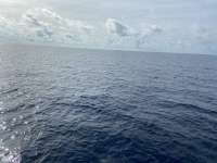Great day of scuba diving in Key Largo with Rainbow Reef on uscgc duane tropical serenity 2021 09 18 r11629 1