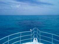 Great day of scuba diving in Key Largo with Rainbow Reef on banana patch tropical serenity 2022 04 27 r12377 3
