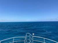 Great day of scuba diving in Key Largo with Rainbow Reef on benwood wreck tropical legend 2022 04 19 r12363 1