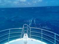Great day of scuba diving in Key Largo with Rainbow Reef on benwood wreck tropical legend 2022 04 20 r12368 1