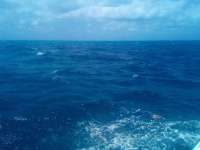 Great day of scuba diving in Key Largo with Rainbow Reef on benwood wreck tropical legend 2022 04 20 r12368 2