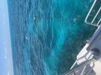 Great day of scuba diving in Key Largo with Rainbow Reef on christ statue tropical serenity 2022 04 26 r12373 1