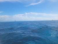 Great day of scuba diving in Key Largo with Rainbow Reef on drift molasses tropical explorer 2022 04 30 r12395 1