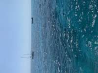 Great day of scuba diving in Key Largo with Rainbow Reef on elbow reef tropical serenity 2022 04 02 r12287 1