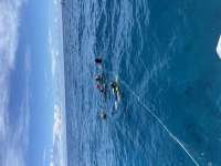 Great day of scuba diving in Key Largo with Rainbow Reef on molasses reef tropical adventure 2022 04 18 r12358 1