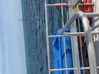 Great day of scuba diving in Key Largo with Rainbow Reef on molasses reef tropical serenity 2022 04 03 r12289 1