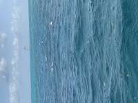 Great day of scuba diving in Key Largo with Rainbow Reef on molasses reef tropical serenity 2022 04 20 r12367 1