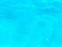 Great day of scuba diving in Key Largo with Rainbow Reef on pickles reef tropical destiny 2022 04 03 r12293 1