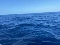 Great day of scuba diving in Key Largo with Rainbow Reef on spiegel grove tropical destiny 2022 04 01 r12273 1