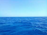 Great day of scuba diving in Key Largo with Rainbow Reef on spiegel grove tropical explorer 2022 04 02 r12285 1