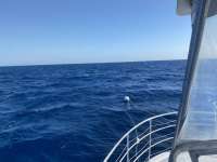 Great day of scuba diving in Key Largo with Rainbow Reef on spiegel grove tropical legend 2022 04 19 r12361 1