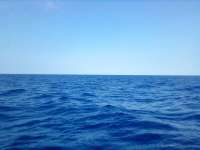 Great day of scuba diving in Key Largo with Rainbow Reef on uscgc duane tropical destiny 2022 04 07 r12312 1