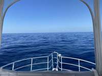 Great day of scuba diving in Key Largo with Rainbow Reef on uscgc duane tropical destiny 2022 04 28 r12381 1
