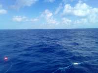 Great day of scuba diving in Key Largo with Rainbow Reef on uscgc duane tropical legend 2022 04 20 r12365 1