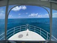 Great day of scuba diving in Key Largo with Rainbow Reef on christ statue tropical destiny 2022 08 03 r12964 1