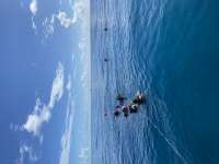 Great day of scuba diving in Key Largo with Rainbow Reef on christmastree cave tropical adventure 2022 08 14 r13024 1