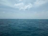 Great day of scuba diving in Key Largo with Rainbow Reef on city of washington tropical destiny 2022 08 10 r13002 1