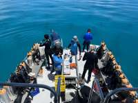 Great day of scuba diving in Key Largo with Rainbow Reef on crf nursery tropical voyager 2022 08 17 r13046 1