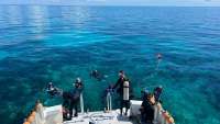 Great day of scuba diving in Key Largo with Rainbow Reef on crf nursery tropical voyager 2022 08 17 r13046 2