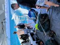 Great day of scuba diving in Key Largo with Rainbow Reef on dad staff tropical adventure 2022 08 31 r13112 1