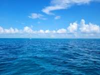 Great day of scuba diving in Key Largo with Rainbow Reef on french reef tropical odyssey 2022 08 17 r13045 1