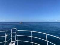 Great day of scuba diving in Key Largo with Rainbow Reef on french twist tropical destiny 2022 08 16 r13038 1