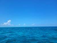 Great day of scuba diving in Key Largo with Rainbow Reef on french twist tropical odyssey 2022 08 04 r12969 1