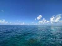 Great day of scuba diving in Key Largo with Rainbow Reef on pickles reef tropical adventure 2022 08 19 r13054 1