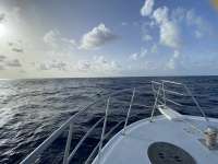 Great day of scuba diving in Key Largo with Rainbow Reef on spiegel grove tropical adventure 2022 08 10 r12995 1