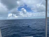 Great day of scuba diving in Key Largo with Rainbow Reef on spiegel grove tropical destiny 2022 08 05 r12971 2