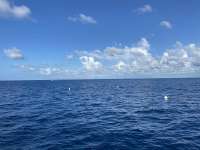 Great day of scuba diving in Key Largo with Rainbow Reef on spiegel grove tropical destiny 2022 08 17 r13042 1