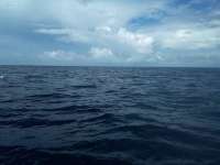 Great day of scuba diving in Key Largo with Rainbow Reef on spiegel grove tropical destiny 2022 08 28 r13097 1