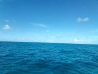 Great day of scuba diving in Key Largo with Rainbow Reef on spiegel grove tropical odyssey 2022 08 13 r13020 1