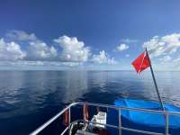 Great day of scuba diving in Key Largo with Rainbow Reef on spiegel grove tropical odyssey 2022 08 16 r13037 2
