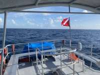Great day of scuba diving in Key Largo with Rainbow Reef on spiegel grove tropical odyssey 2022 08 30 r13104 3