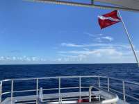 Great day of scuba diving in Key Largo with Rainbow Reef on uscgc duane tropical destiny 2022 08 04 r12966 1