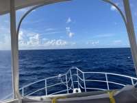 Great day of scuba diving in Key Largo with Rainbow Reef on uscgc duane tropical destiny 2022 08 04 r12966 2
