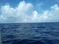 Great day of scuba diving in Key Largo with Rainbow Reef on uscgc duane tropical odyssey 2022 08 05 r12973 1
