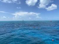 Great day of scuba diving in Key Largo with Rainbow Reef on winch hole tropical odyssey 2022 08 02 r12958 1