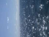 Great day of scuba diving in Key Largo with Rainbow Reef on city of washington tropical odyssey 2022 02 07 r12098 1