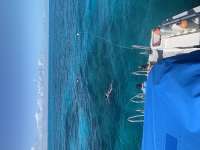 Great day of scuba diving in Key Largo with Rainbow Reef on double north tropical serenity 2022 02 27 r12154 1